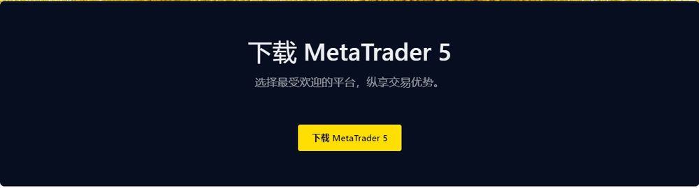 MetaTrader 5(图4) MetaTrader 5(图4)